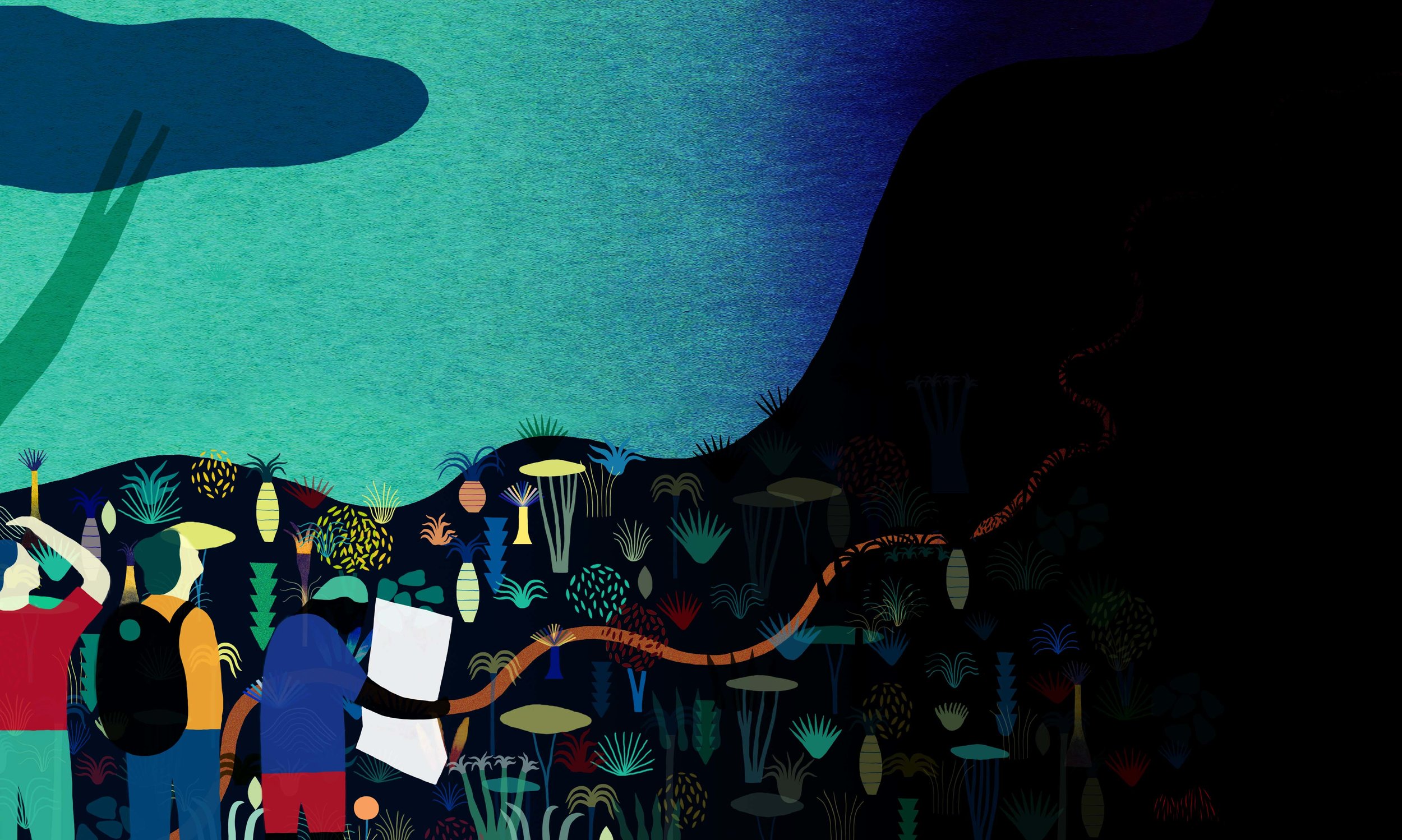  Illustration : Jean Mallard 