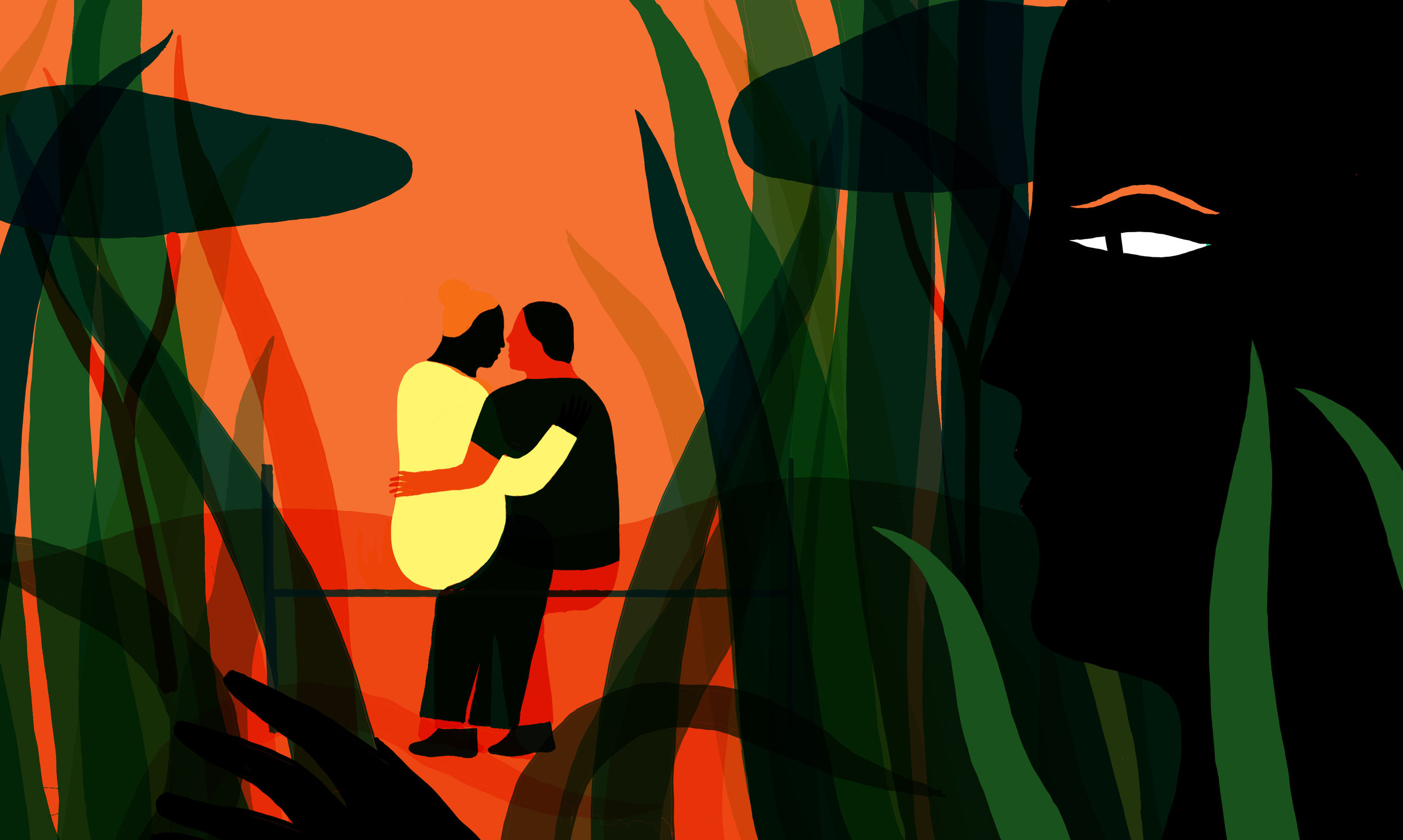  Illustration : Jean Mallard 